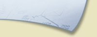 projectdog.com